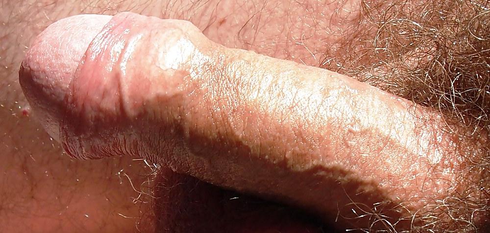 16P Floppy close ups