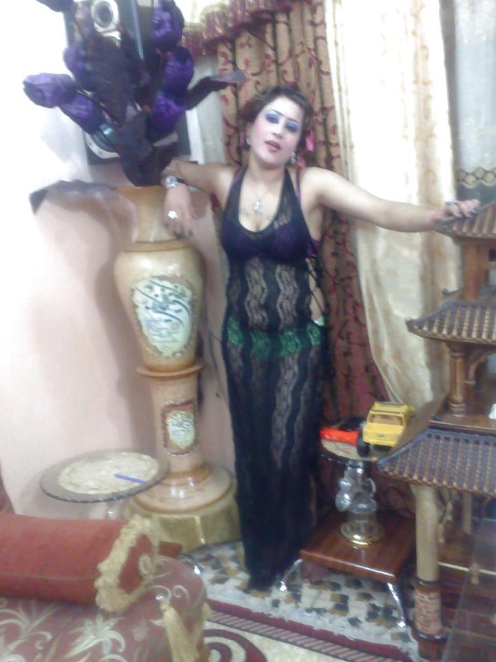14P Egyptian hared body