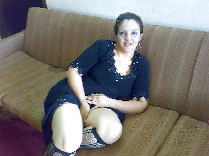14P Egyptian hared body