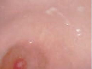 8P Multiple Creampie