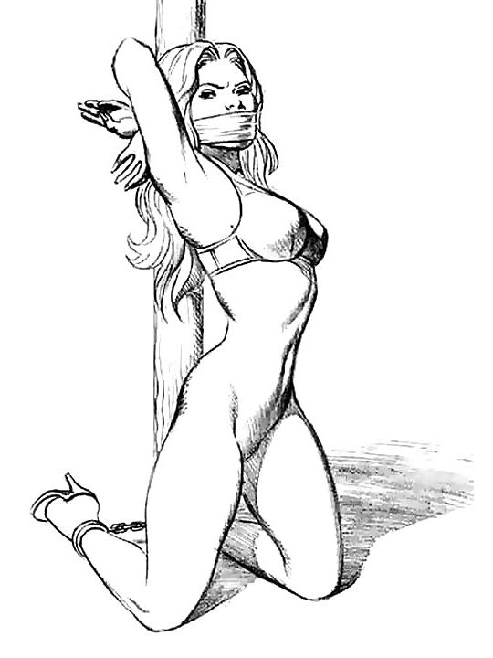 19P Bondage Toons - Vol. 6