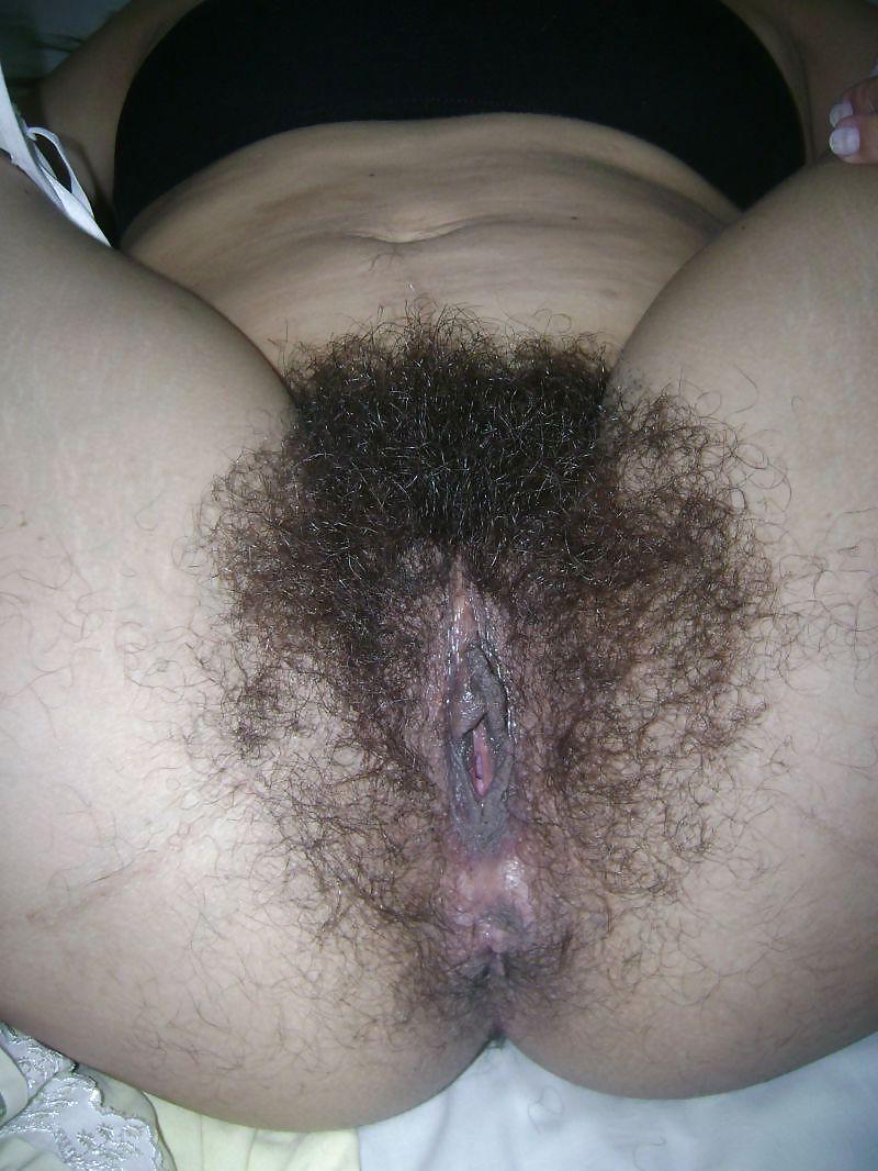 8P Casal Peludo 3 - 