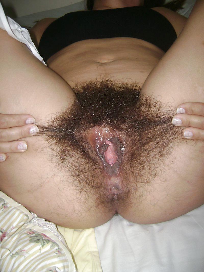 8P Casal Peludo 3 - 