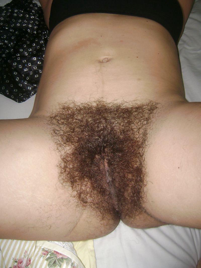 8P Casal Peludo 3 - 