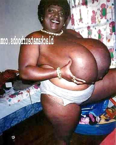 24P Grown Folks Chocolate matures