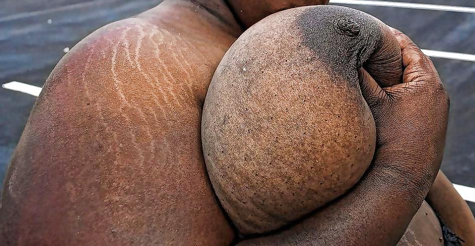 24P Grown Folks Chocolate matures