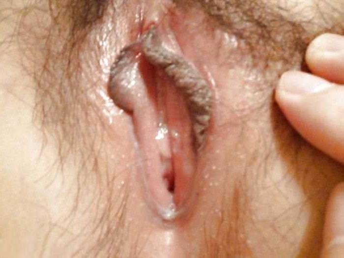 19P Amateur Japanese Shy Wife