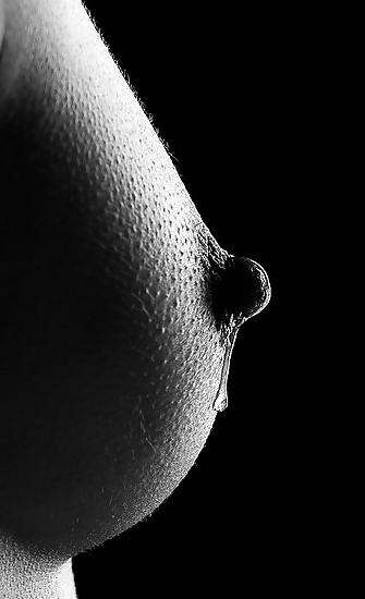 17P BOOBS