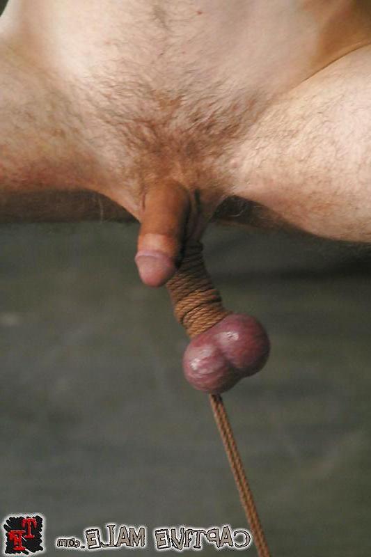 25P Cbt