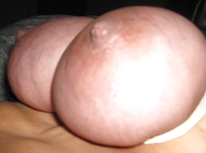 14P Boobs, cocks and pussy