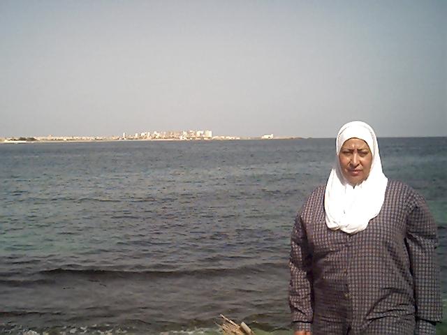 24P ARAB EGYPTIAN AMANY 03