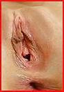15P Gros plan 2