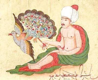10P Indian Gay Kamasutra