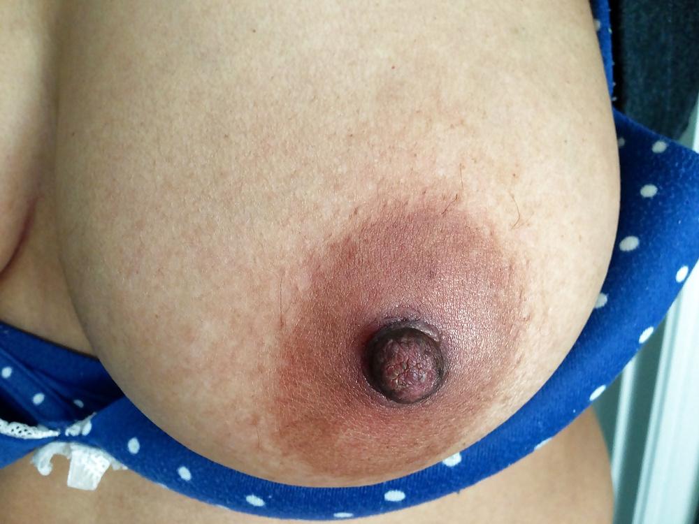 20P Ass, Boobs and Pussy