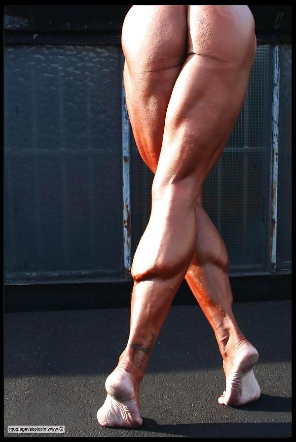 23P Muscle babes from the net