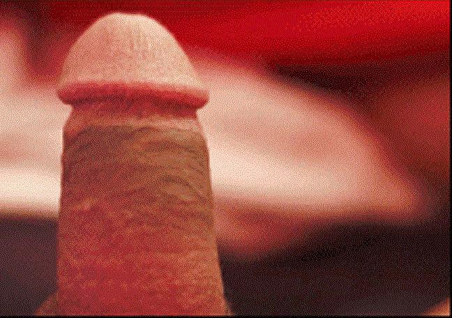 25P GAY & BI-SEXX