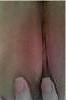 6P Amateur Wife