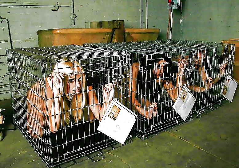 18P Bondage Babes 2+