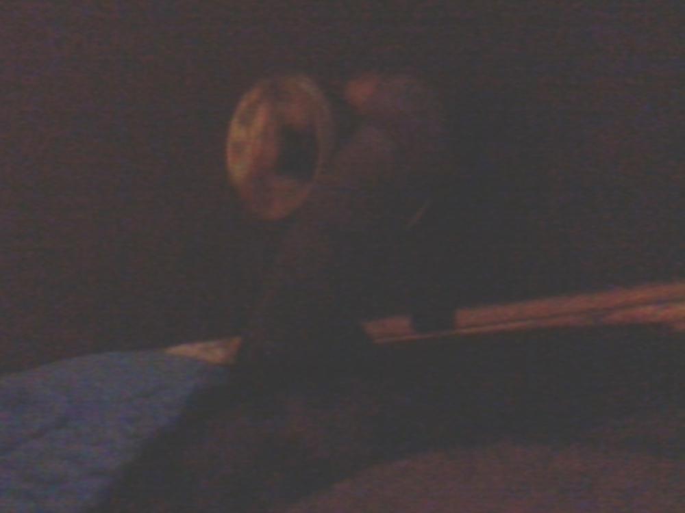 19P Random Phone Pics