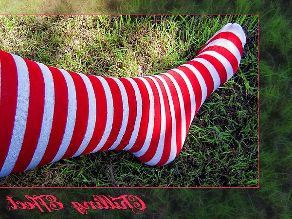 6P Feet, Socks and Shoes