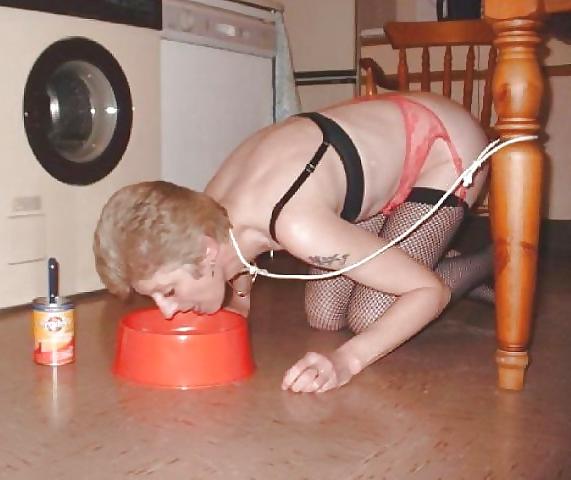 14P Humiliated sluts