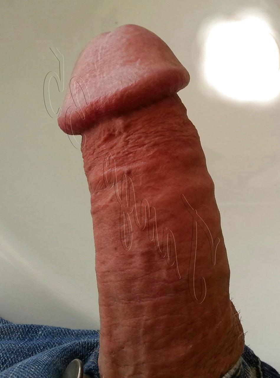 16P Turkish Couple Figen&Can