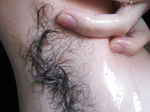 13P More crazy hairy variety