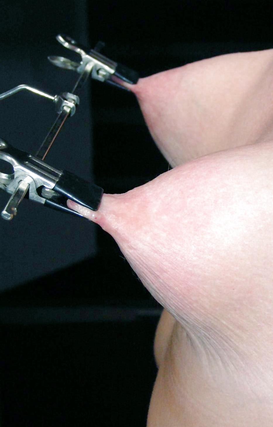 25P Tortured Tits