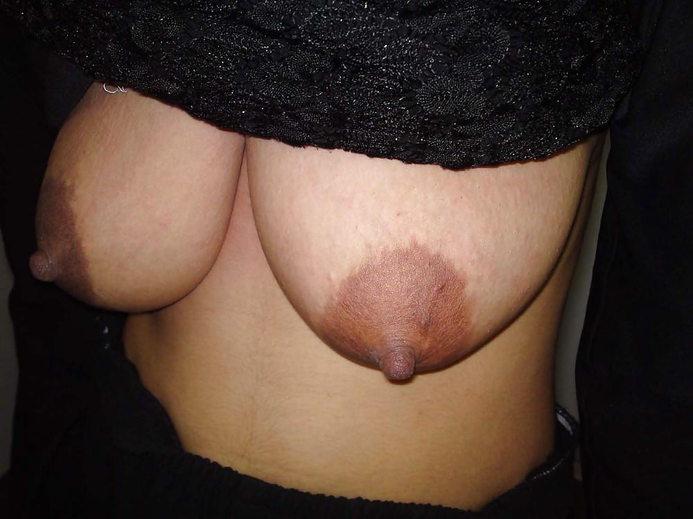 25P Persian Tits - Part 1
