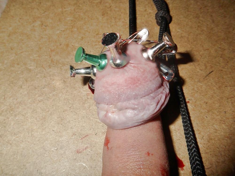 20P Stretched pined cbt