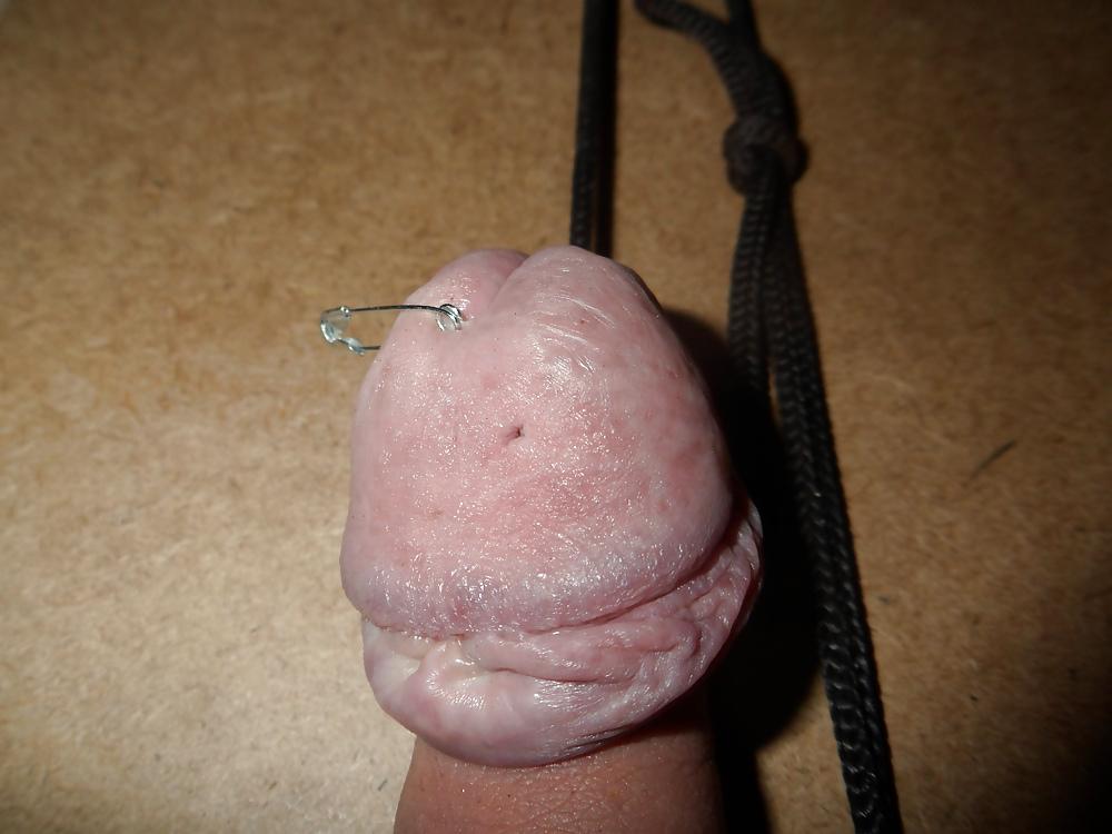 20P Stretched pined cbt