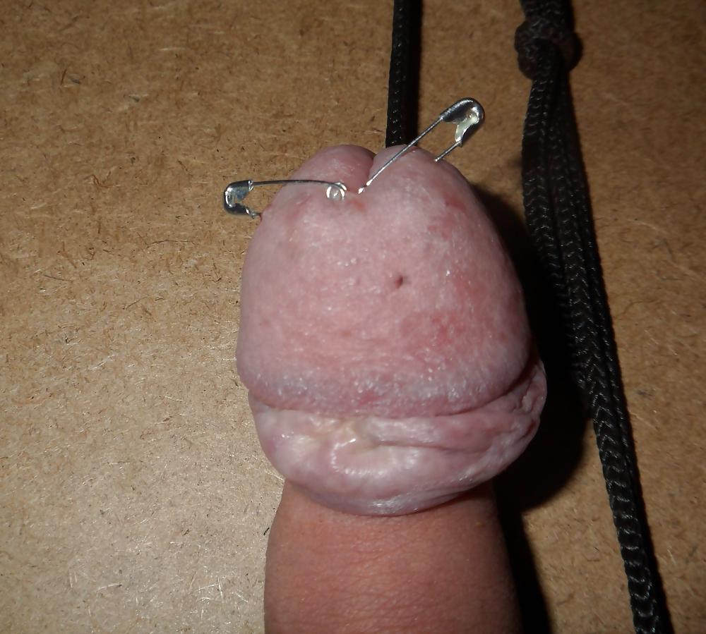 20P Stretched pined cbt