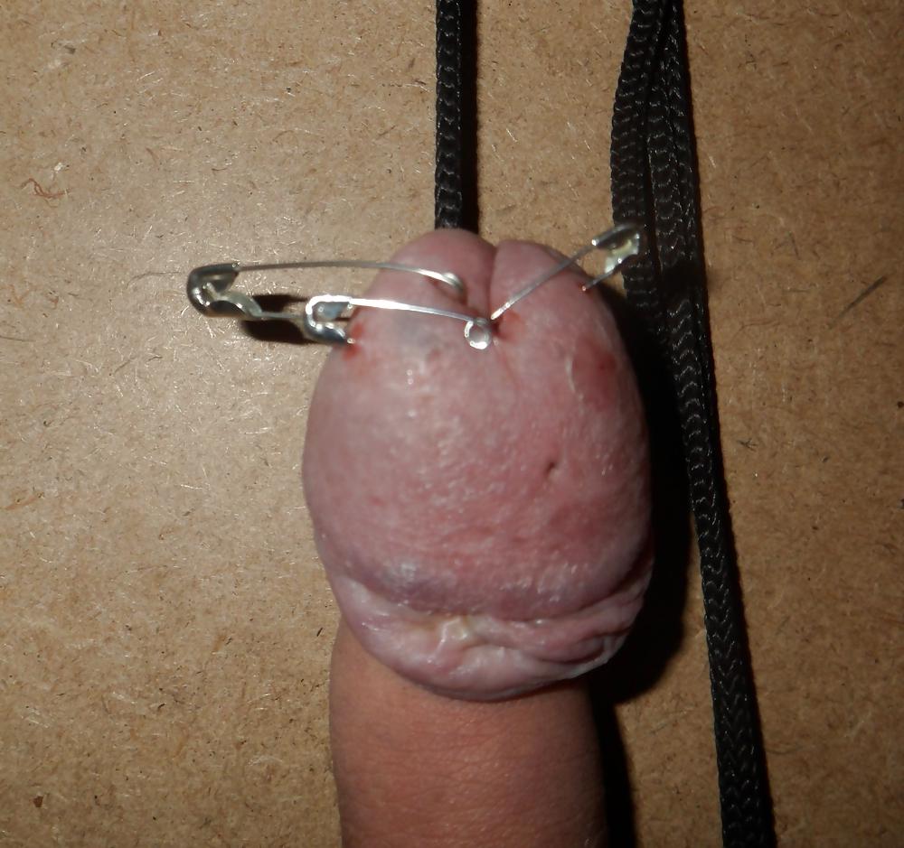 20P Stretched pined cbt