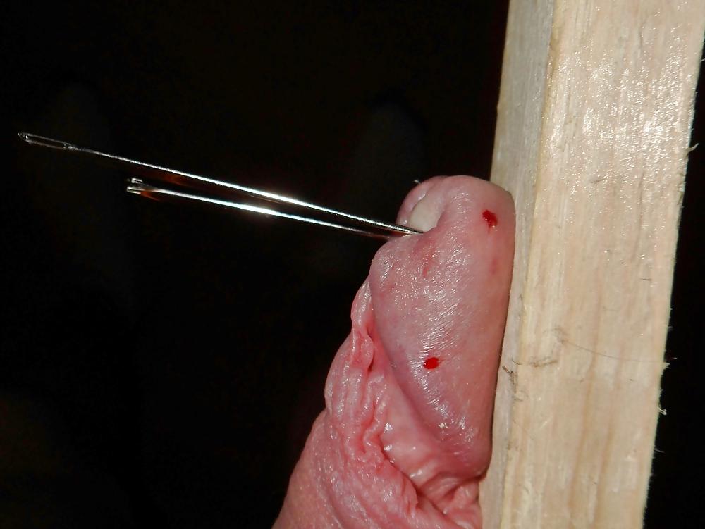 20P Stretched pined cbt