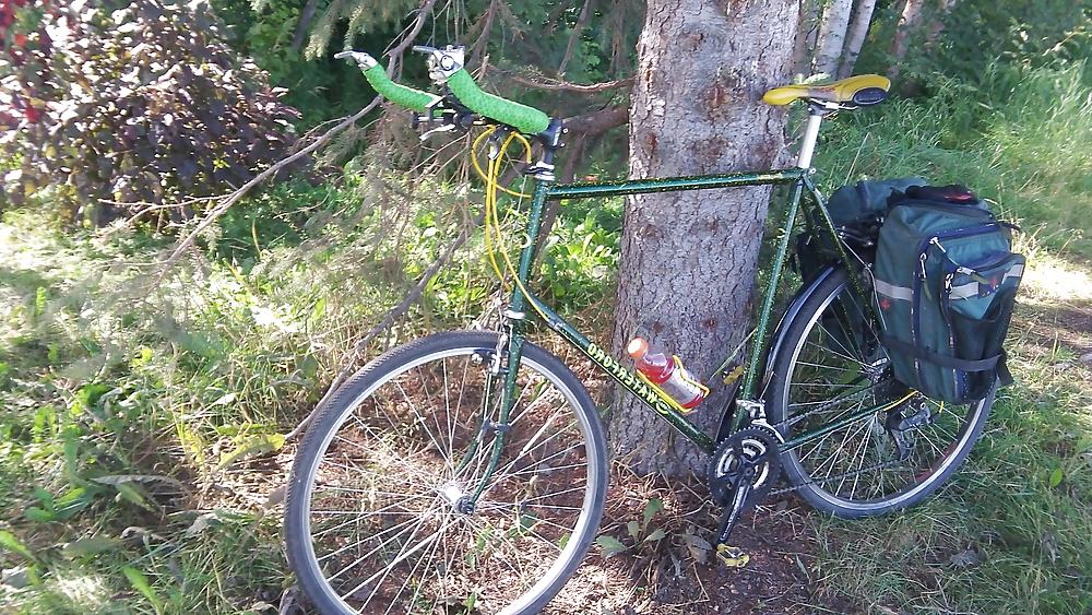 15P My Bicycle dressed and undressed