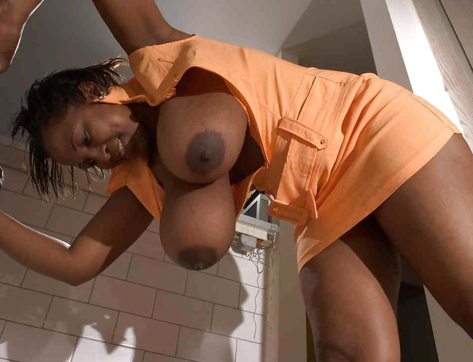 25P Tits Hang 01