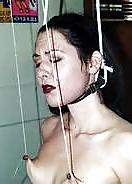 25P Breast Bondage