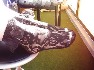 25P Sweet Socks