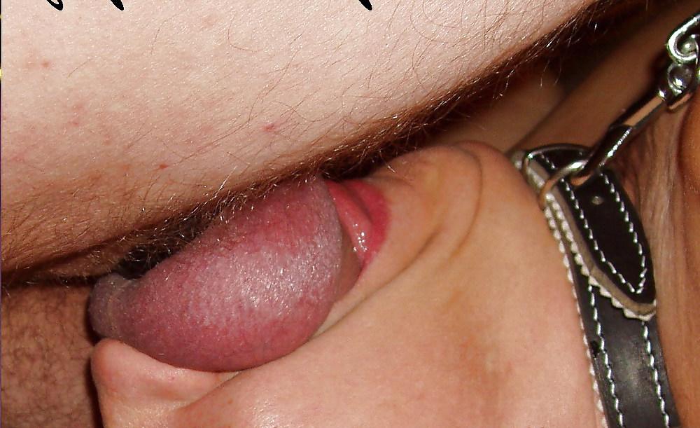 10P Goodsucker love sperm VIII