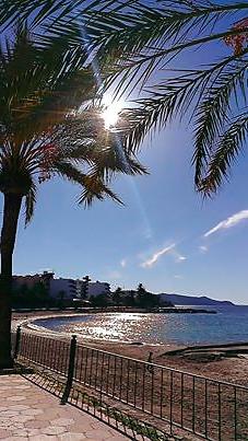25P Ibiza 2013
