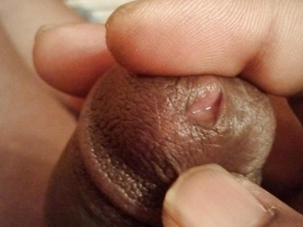 8P Bbc king 9inch dick + dick hole pics also cum!