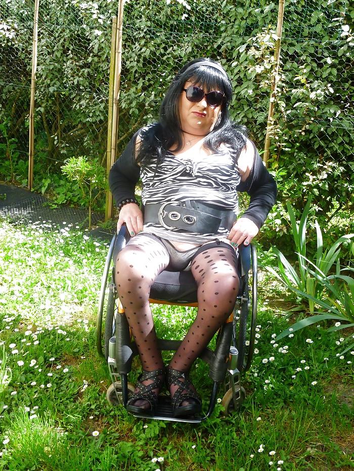 14P In my garden