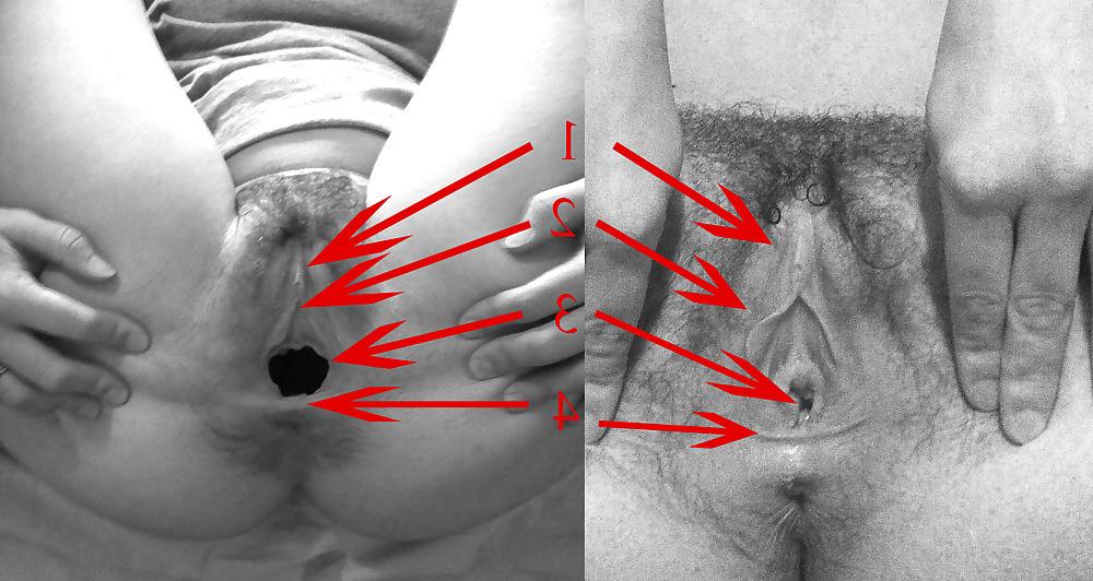 15P Comparing demgpe's Hole