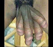 15P The hottie gays dick