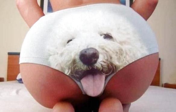 22P The best world of asses