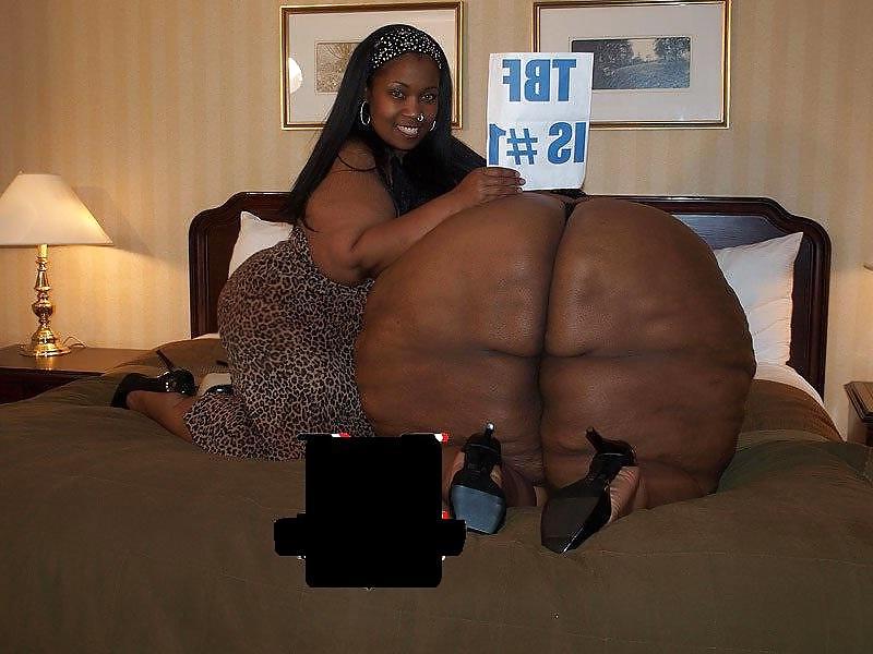 22P BIG BOOBS & ROUND ASSES 