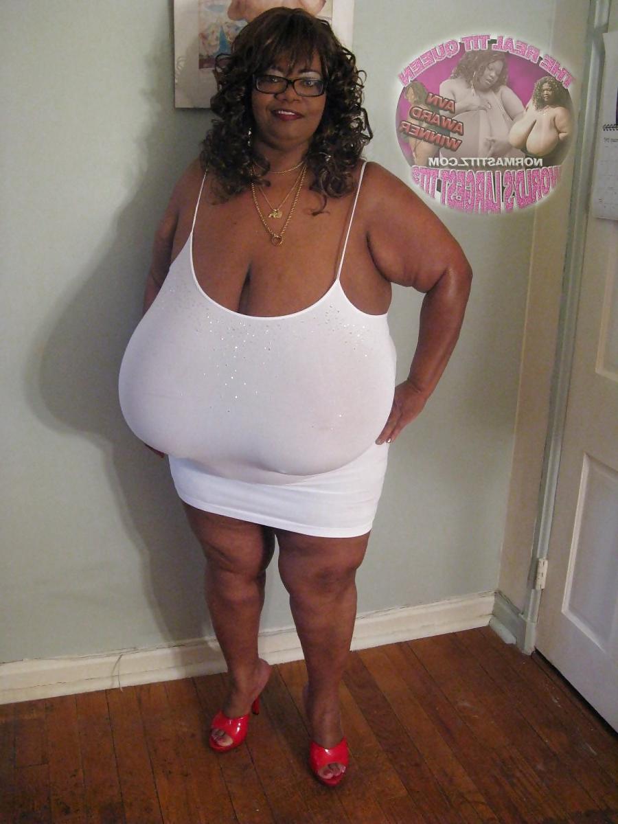 24P Tits 13 (norma stitz vol.1)