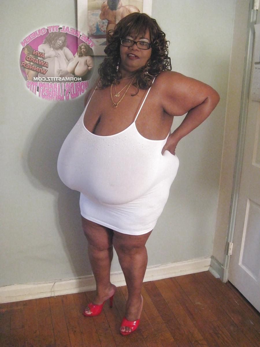24P Tits 13 (norma stitz vol.1)