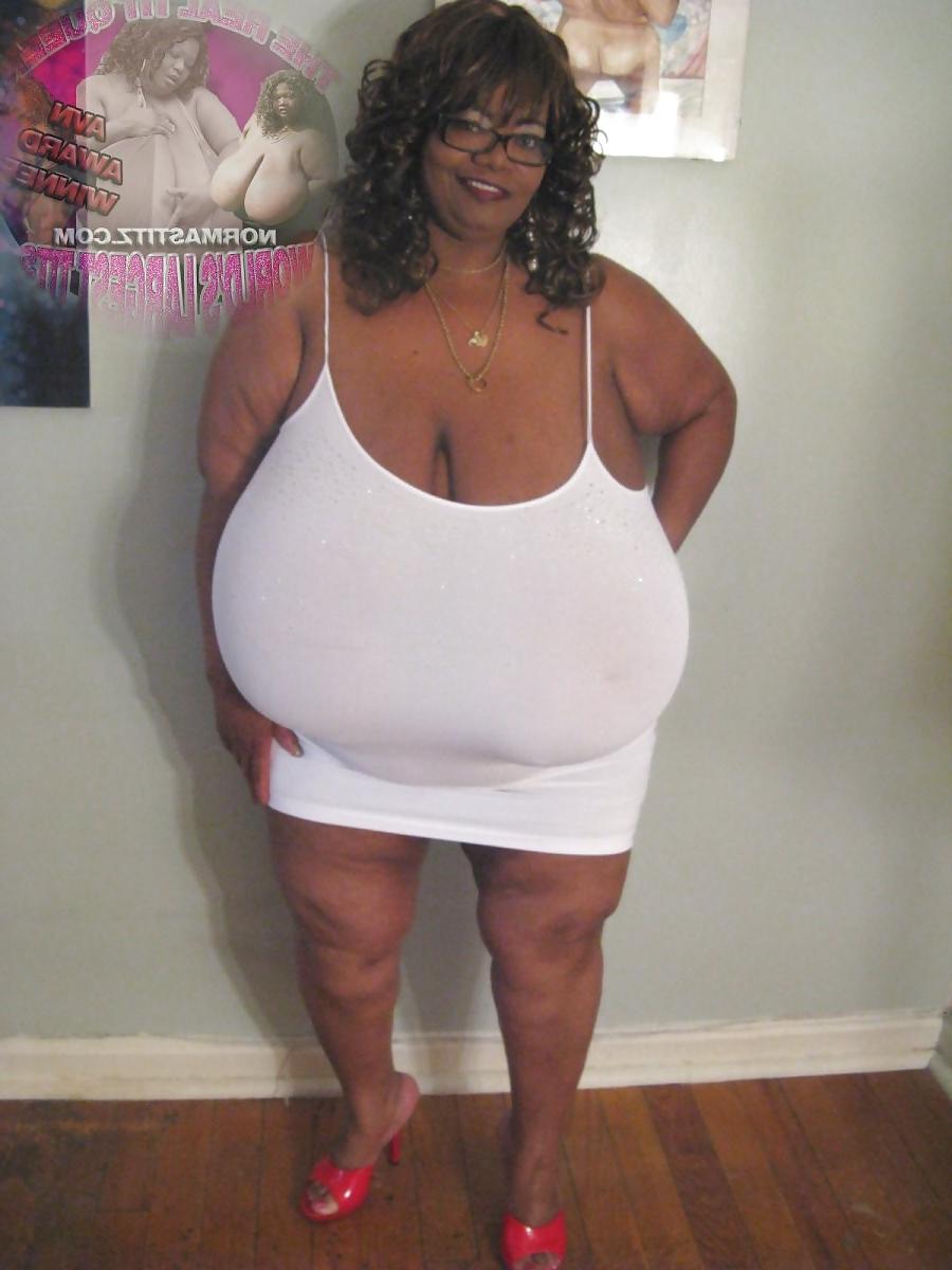 24P Tits 13 (norma stitz vol.1)