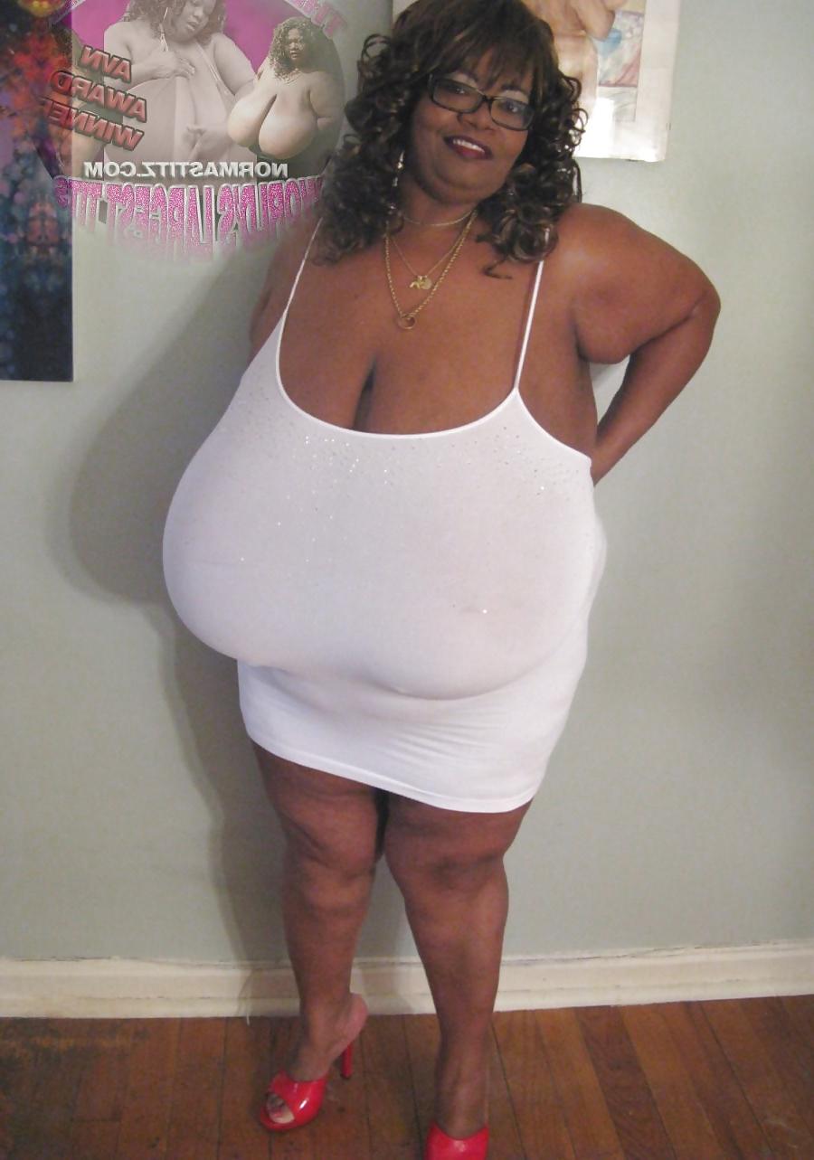 24P Tits 13 (norma stitz vol.1)